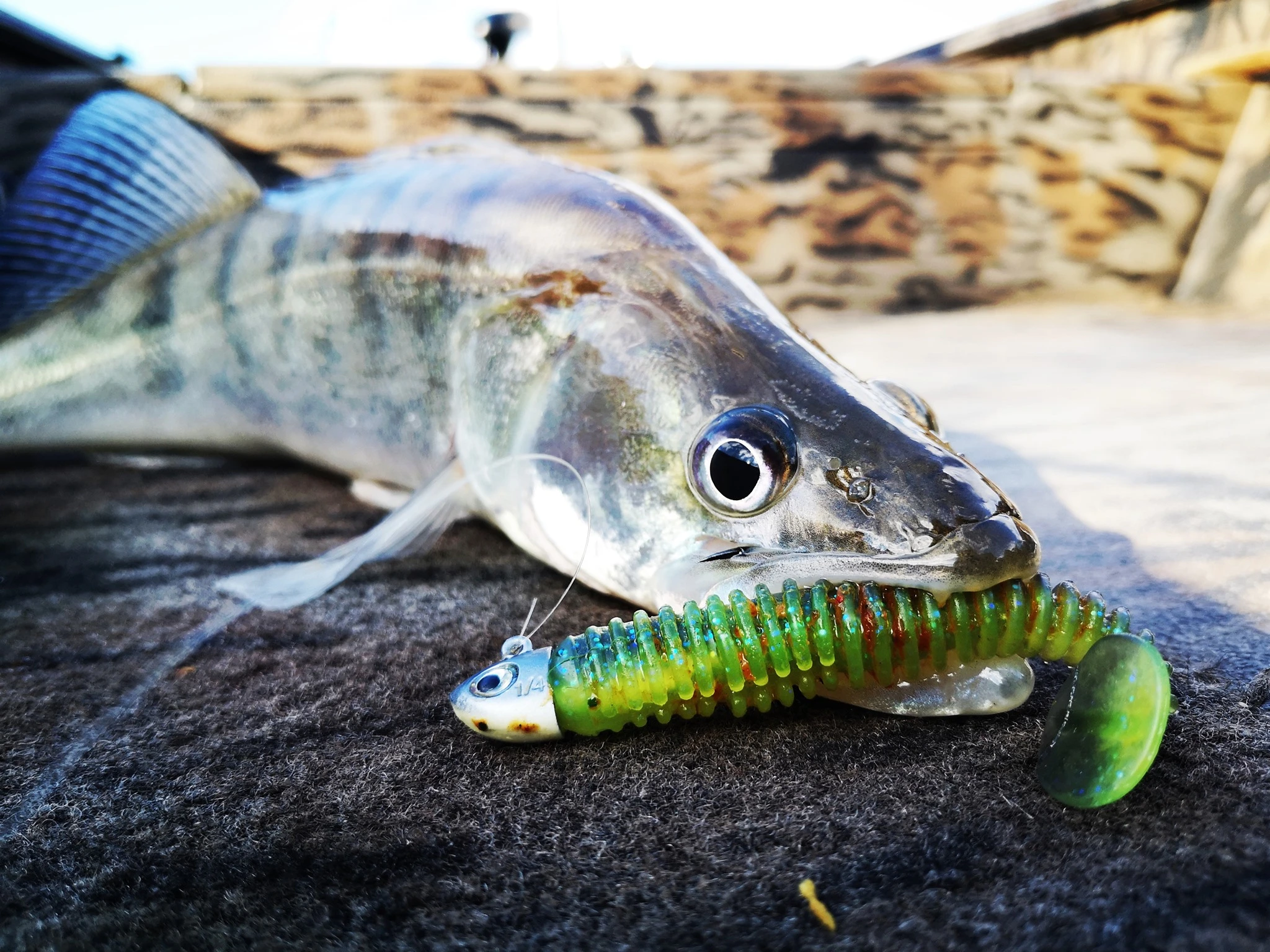 Berkeley Winkel 3 Berkeley Winkel -Berkeley Winkel 70