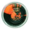 Berkley - Powerbait Powerbait Glitter Black Orange Troutbait 2 Berkley - Powerbait Powerbait Glitter Black Orange Troutbait -Berkeley Winkel berkley powerbait troutbait glitter black orange